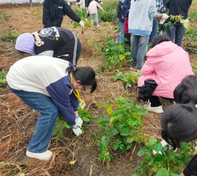 课后作业到学业评价全面分层让每一位学生都能适配自身学习节